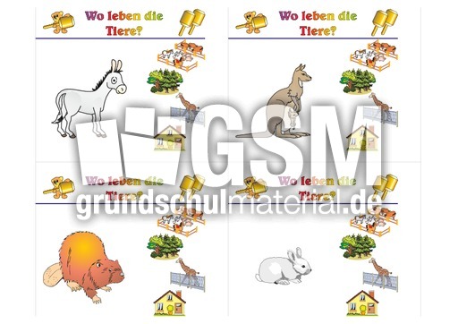 HC-Tiere leben B 03.pdf